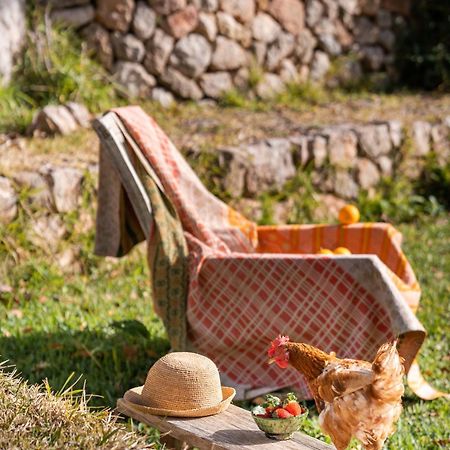 Agroturismo Son Viscos Valldemossa  Extérieur photo