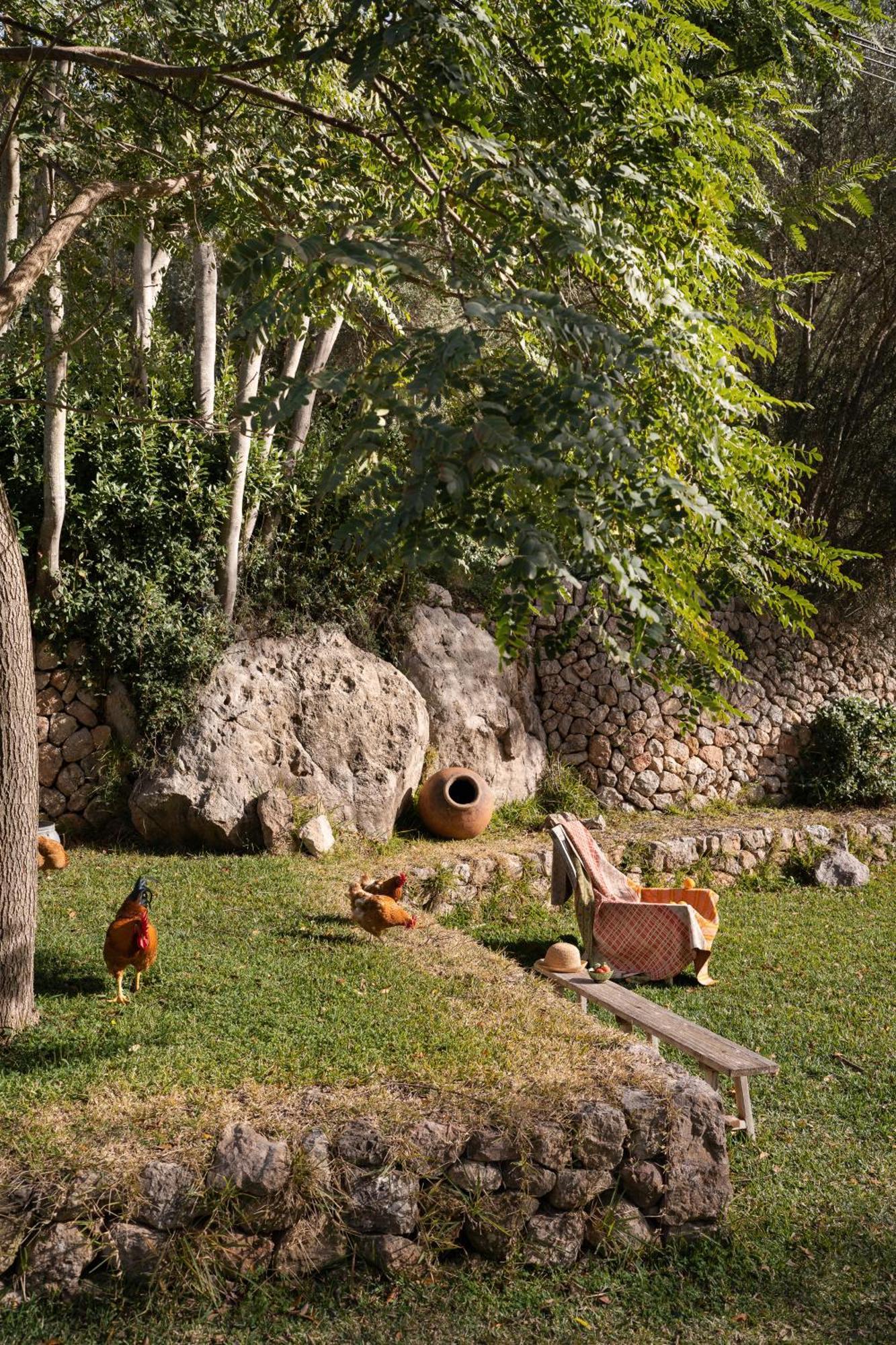 Agroturismo Son Viscos Valldemossa  Extérieur photo